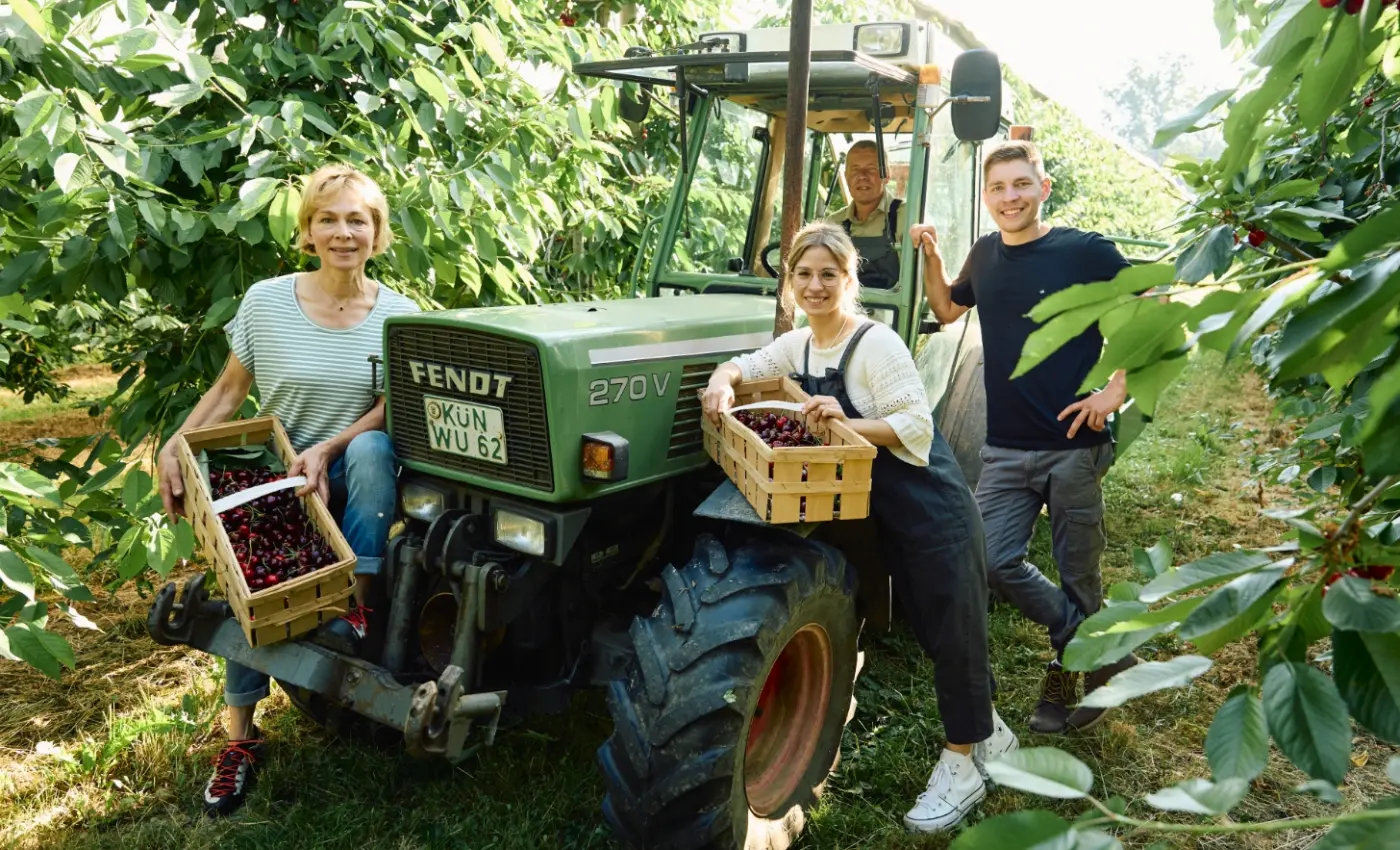 Familie Bauer bei der Ernte im Obstgarten, mit Traktor und Erntekisten