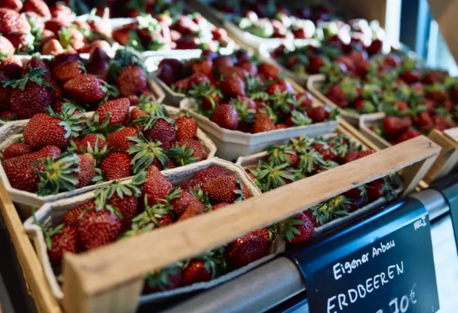 Kisten mit Erdbeeren aus eigenem Anbau im Food-Stop