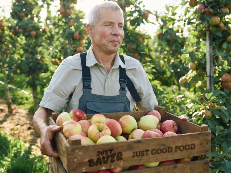 Gefüllte Obstkiste mit saisonalem Obst