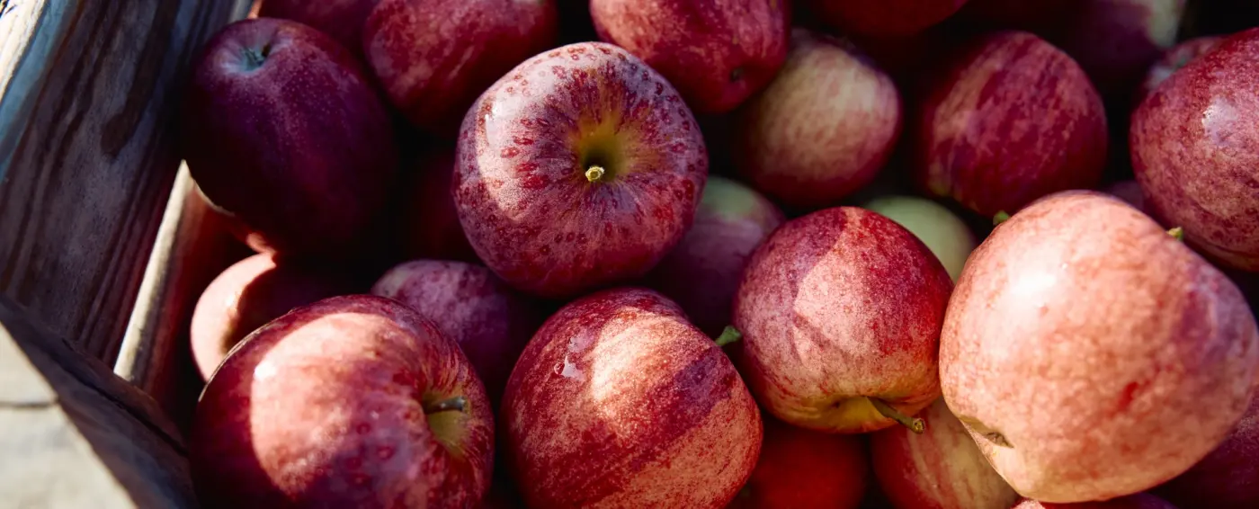 Obstkiste von Just Bauer